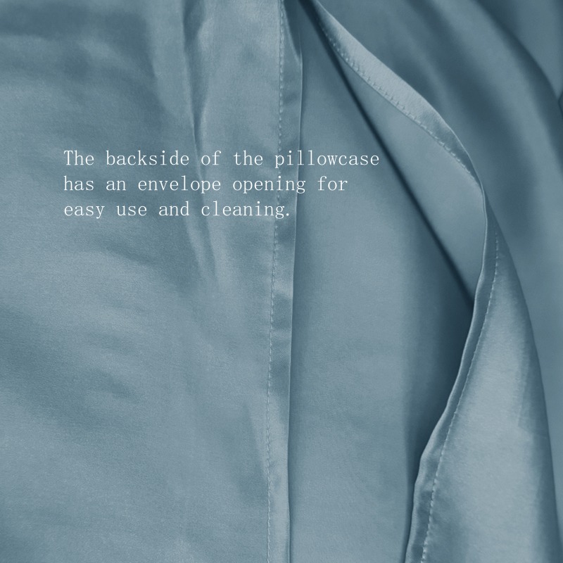 22MM Zijden Kussensloop 1pc En - Silk Pillowcase recensie en prijs